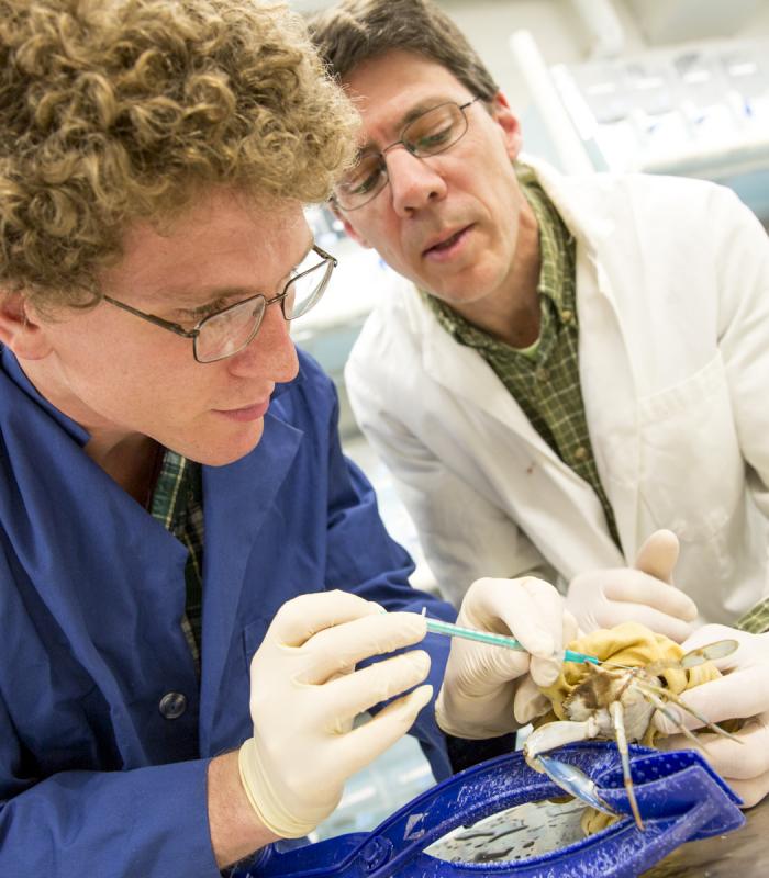 two scientists at work in the lab