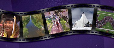 Film strip graphic